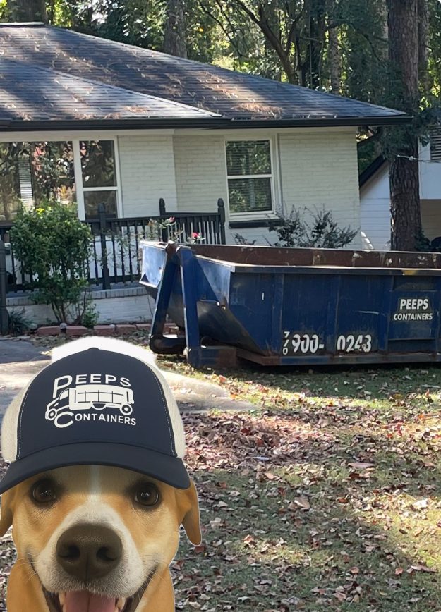 Water Damage Cleanup in Atlanta with 15-Yard Dumpster and PuroClean