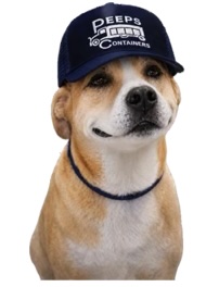 Jack, the Peeps Containers dog mascot wearing a company cap
