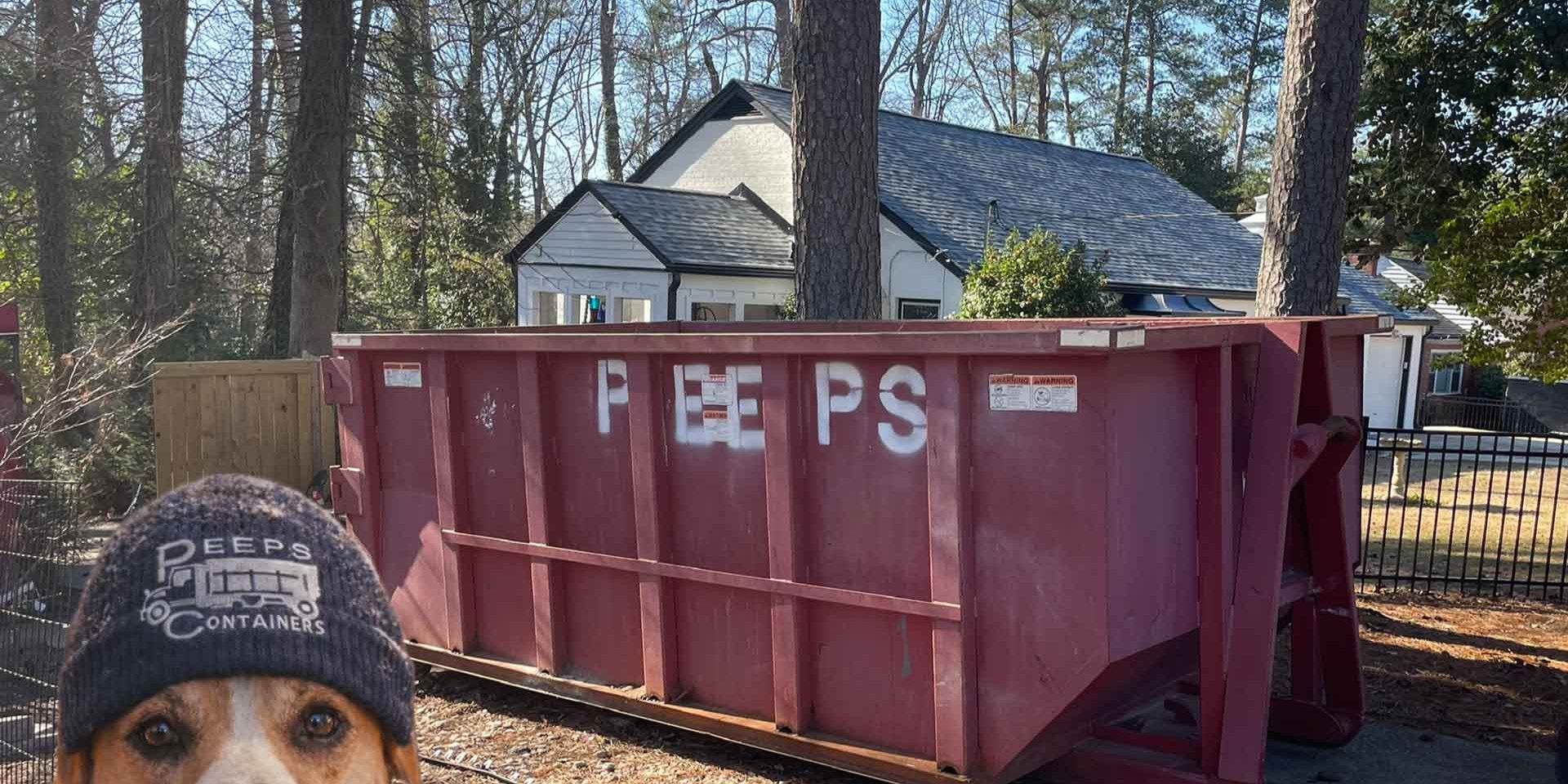 Wintery Mix Damage in Atlanta: When You May Need a Dumpster Wintery Mix Damage in Atlanta: When You May Need a Dumpster