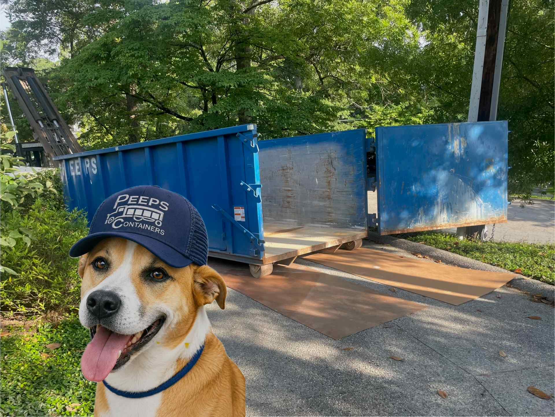 jack-easy-loading-basement-cleanout-dumpster - Peeps Containers Dog wearing a blue cap, tongue out, in front of a large blue dumpster and ramp outdoors among trees.